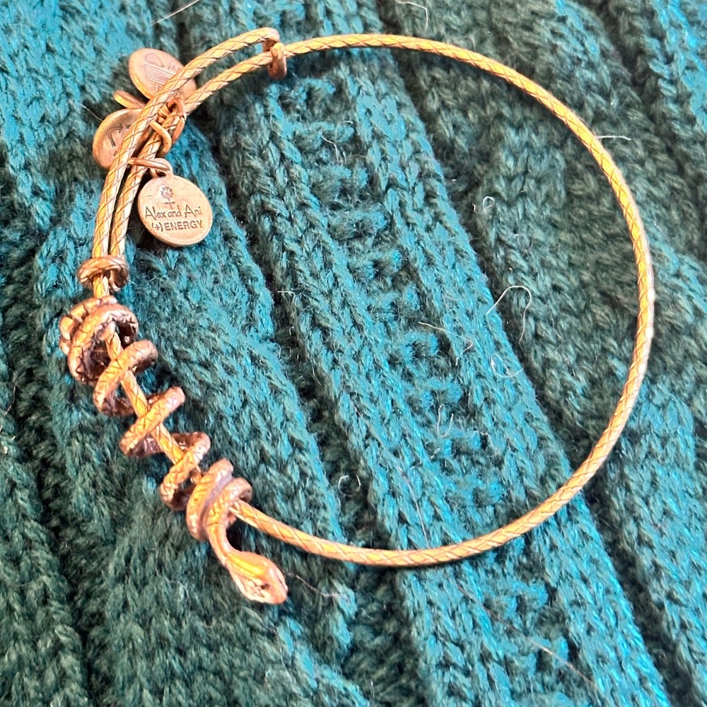 Alex and Ani Snake Bangle Bronze/Copper Halloween Witch Jewelry